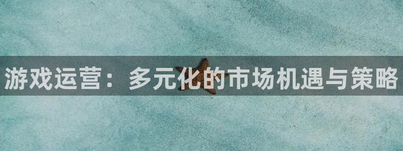 pp电子服装分店有几家：游戏运营：多元化的市场机遇与策略