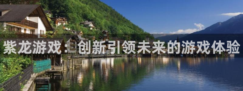 pp电子官网注册平台是什么公司：紫龙游戏：创新引领未来的游戏体验