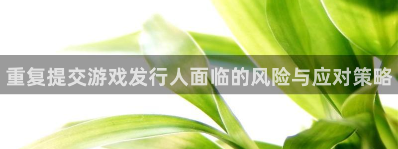 pp电子官网跑路了吗：重复提交游戏发行人面临的风险与应对策略