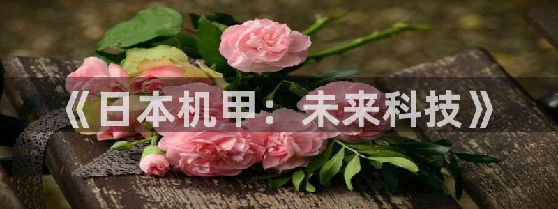 pp电子子文化是什么：《日本机甲：未来科技》