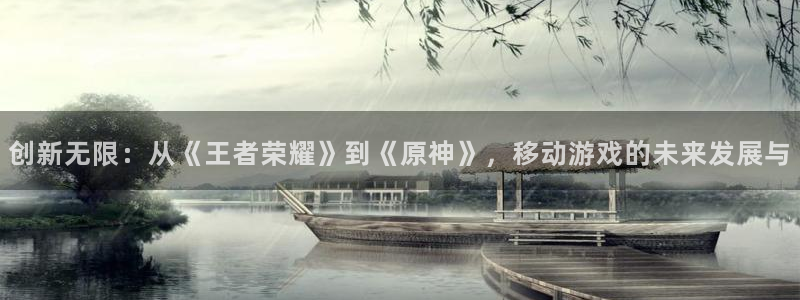 pp电子技术有限公司官网