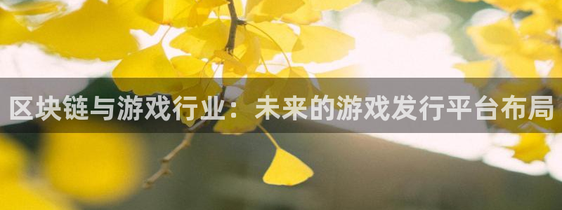 pp电子官网平台代理开号怎么开