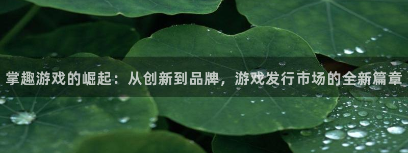 pp电子子股价