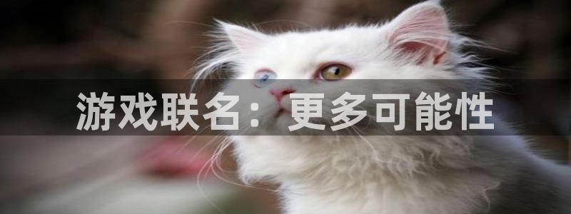 pp电子啤酒多少钱一箱：游戏联名：更多可能性