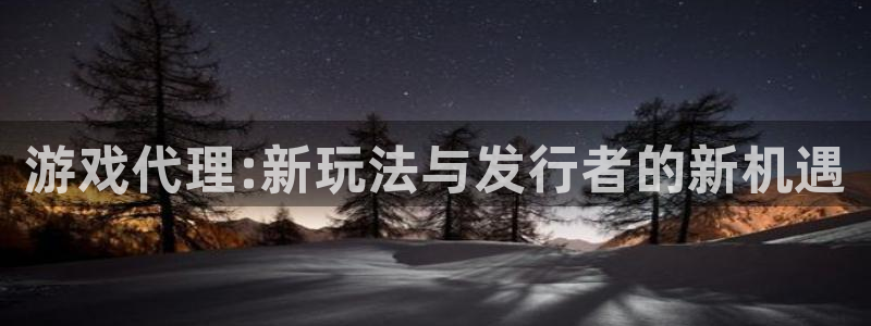 pp电子干红葡萄酒750毫升多少钱：游戏代理:新玩法与发行者的新机遇