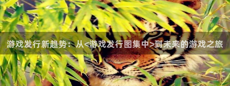 pp电子子的图片：游戏发行新趋势：从<游戏发行图集中>到未来的游戏之旅