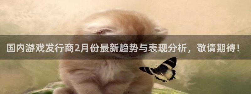 pp电子官网注册地址在哪里查：国内游戏发行商2月份最新趋势与表现分析，敬请期待！