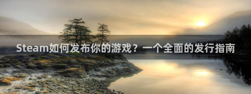 四川pp电子科技有限公司：Steam如何发布你的游戏？一个全面的发行指南