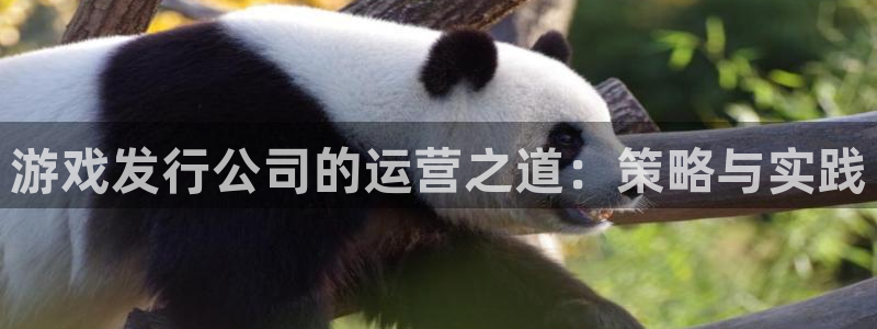 pp电子官网是赌博么