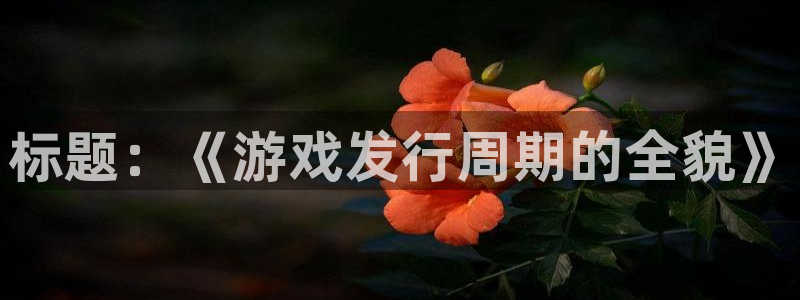 pp电子官网注册登录不了：标题：《游戏发行周期的全貌》