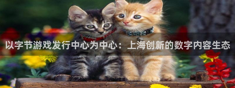 pp电子电子商务怎么样