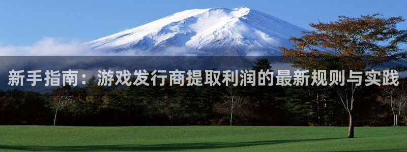pp电子有什么寓意