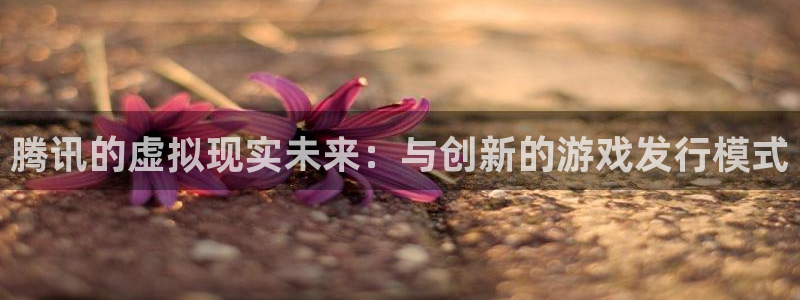 pp电子官网平台怎么样