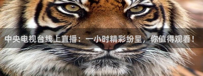 黑白体育看高清直播：中央电视台线上直播：一小时精彩纷呈，你值得观看！
