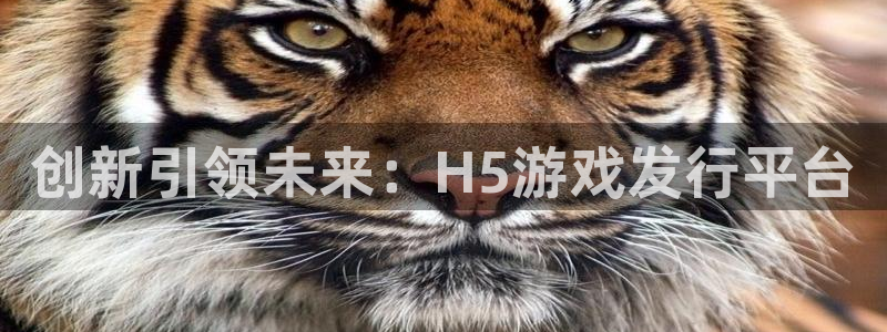 pp电子香烟图片