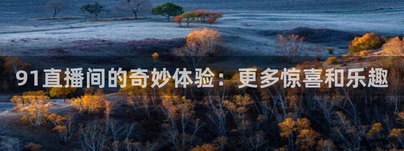 黑白直播看球：91直播间的奇妙体验：更多惊喜和乐趣