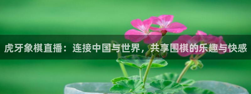 黑白体育视频直播：虎牙象棋直播：连接中国与世界，共享围棋的乐趣与快感