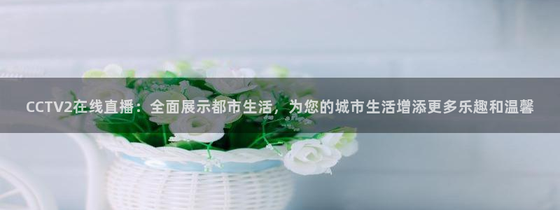 nba直播在线观看免费黑白体育：CCTV2在线直播：全面展示都市生活，为您的城市生活增添更多乐趣和温馨