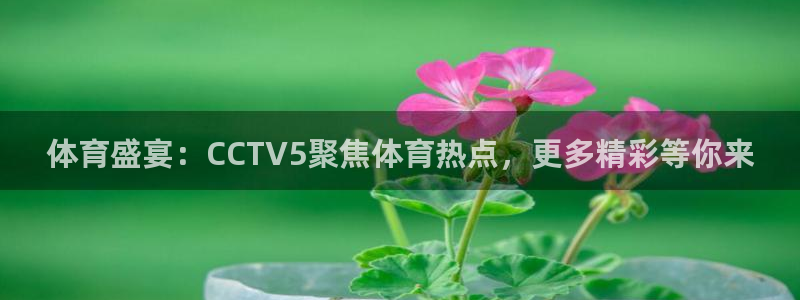 jrs直播nba黑白直播：体育盛宴：CCTV5聚焦体育热点，更多精彩等你来