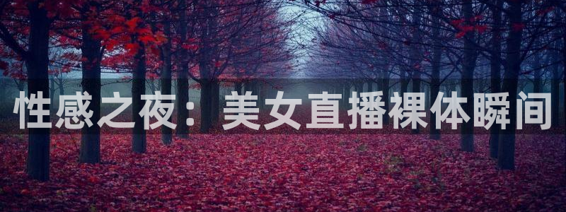 黑白体育直播高清：性感之夜：美女直播裸体瞬间