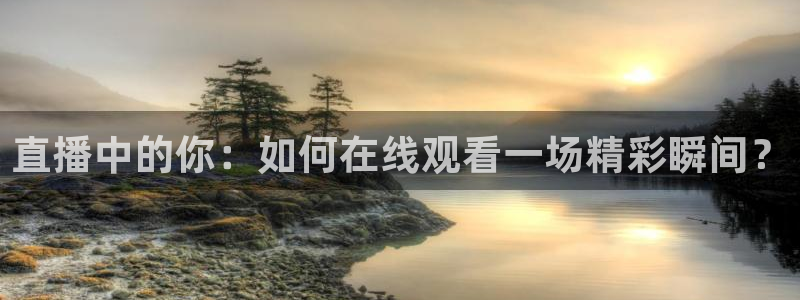 黑白篮球直播网：直播中的你：如何在线观看一场精彩瞬间？