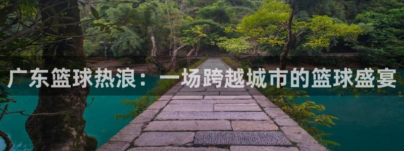 黑白直播免费体育直播高清：广东篮球热浪：一场跨越城市的篮球盛宴