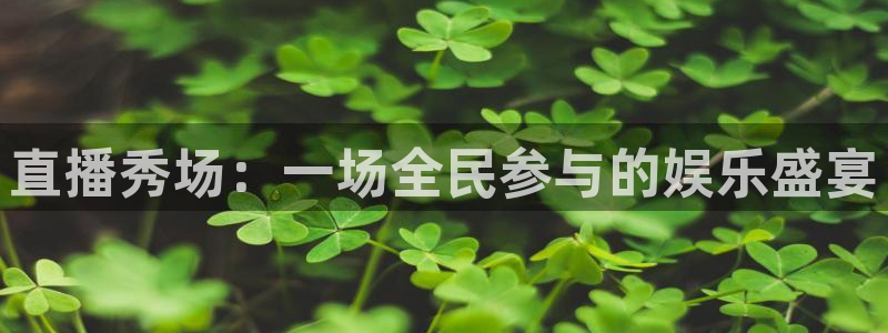 黑白直播体育篮球：直播秀场：一场全民参与的娱乐盛宴
