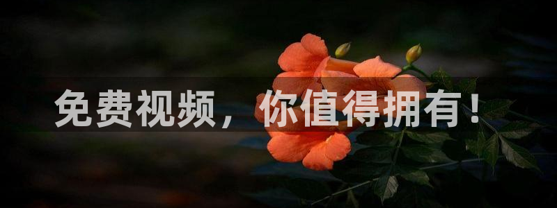 黑白体育直播app下载满20即提.火速到达.top：免费视频，你值得拥有！