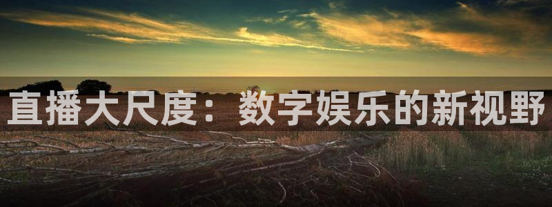黑白直播nba免费：直播大尺度：数字娱乐的新视野