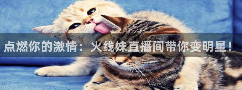 黑白直播体育直播app下载：点燃你的激情：火线妹直播间带你变明星！