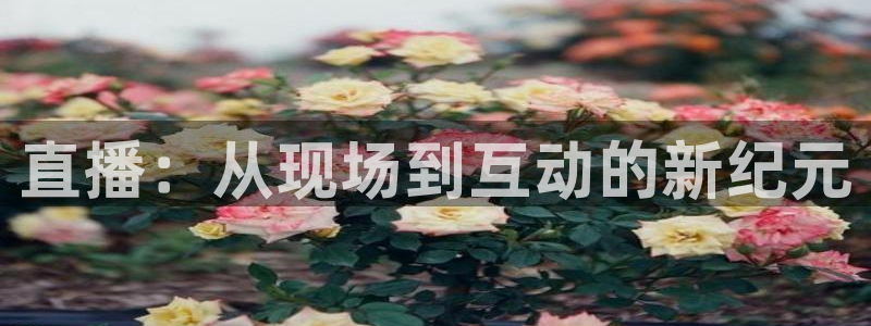 黑白直播体育nba直播在线观看高清：直播：从现场到互动的新纪元