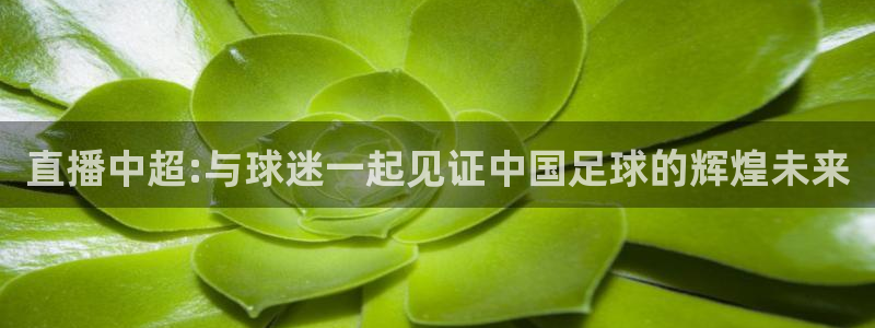 nba直播 黑白直播间：直播中超:与球迷一起见证中国足球的辉煌未来